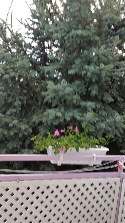 Pension Ovari Bük Екстериор снимка
